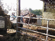 jmely290407003009.jpg